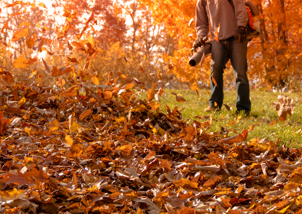 Leaf Blower