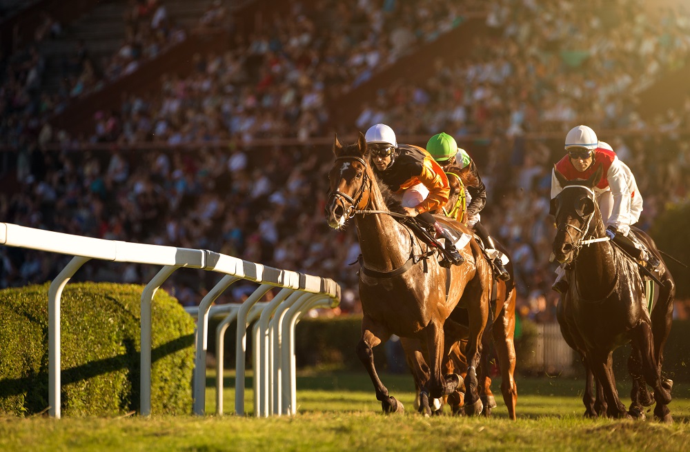 horse-racing-rail5