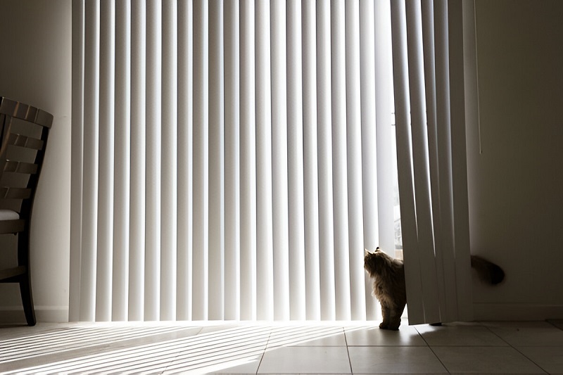 Blinds Mornington