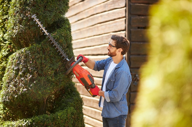 tree trimmers Melbourne