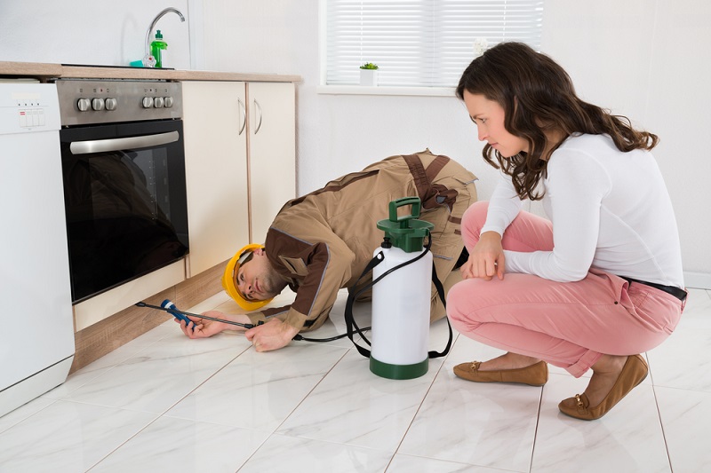pest control