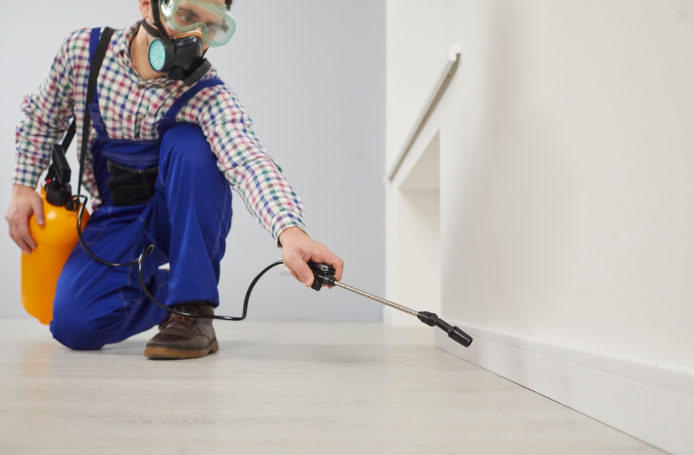 Termite Control Seaforth

