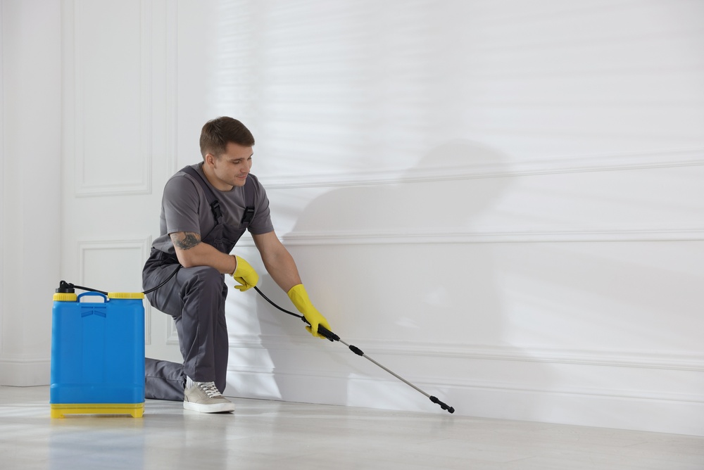 Termite Control Seaforth
