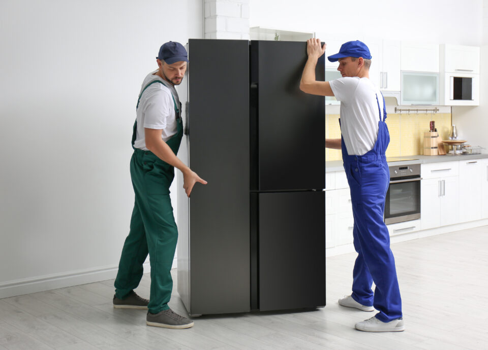 furniture removalists