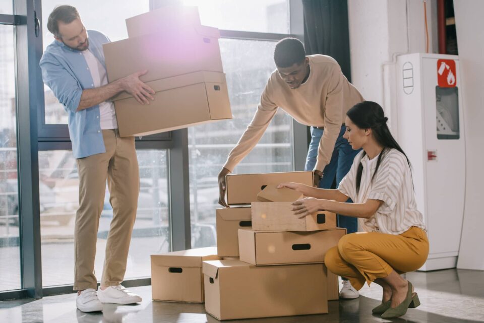 Removalists