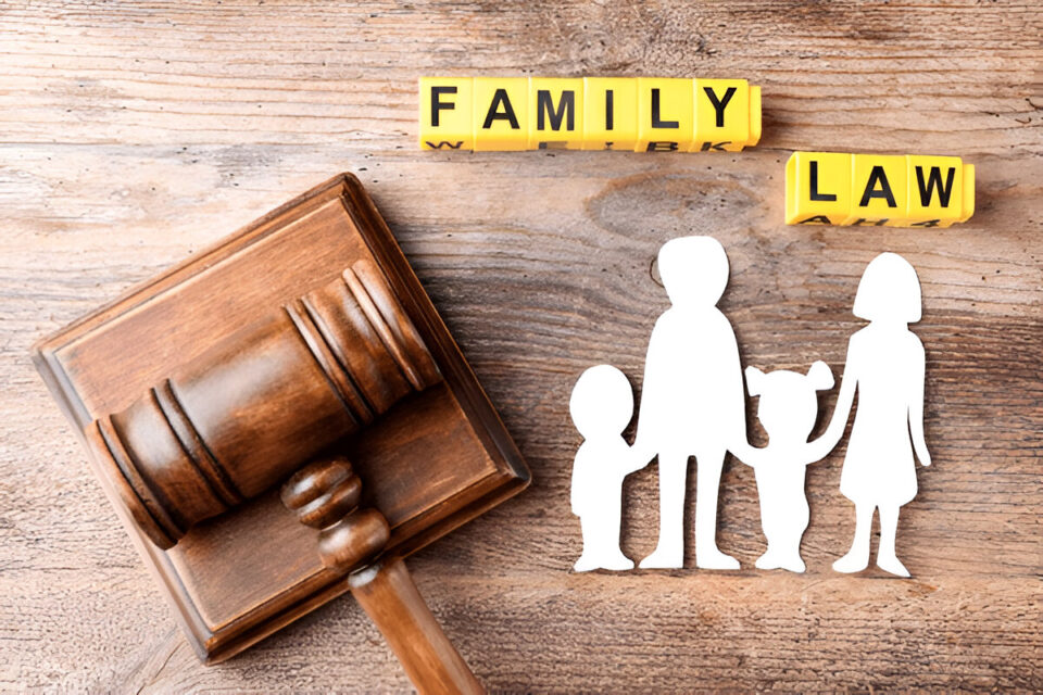 family-lawyer